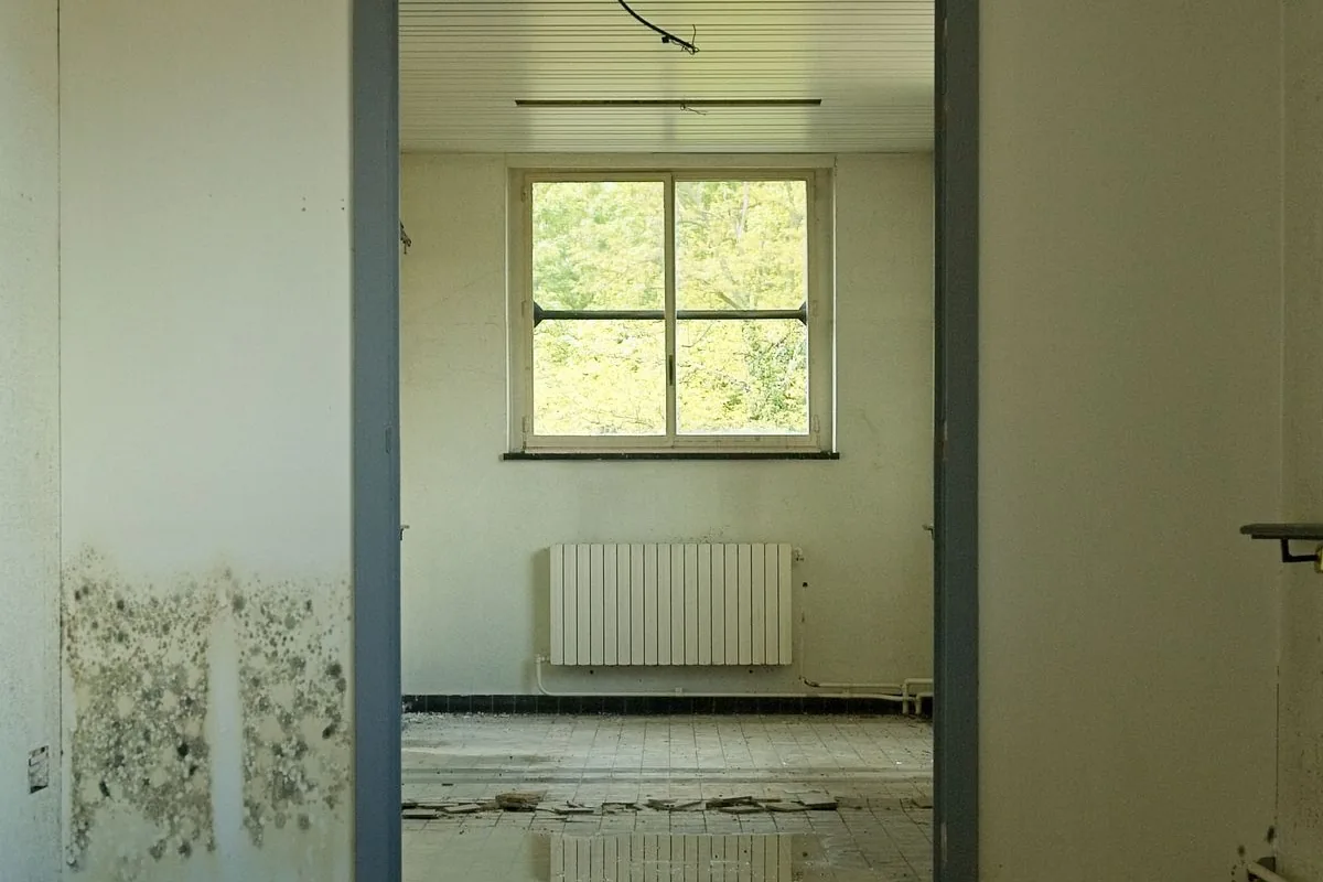 Water-damaged interior in the Cookeville area